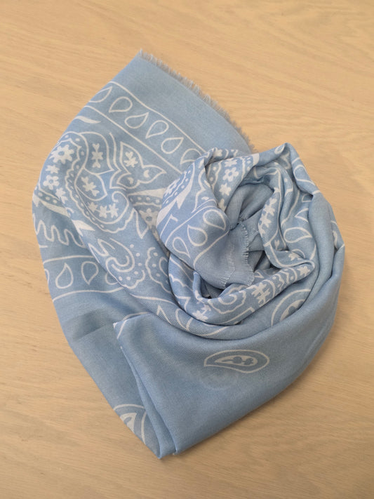 Pashmina Paisley Sky