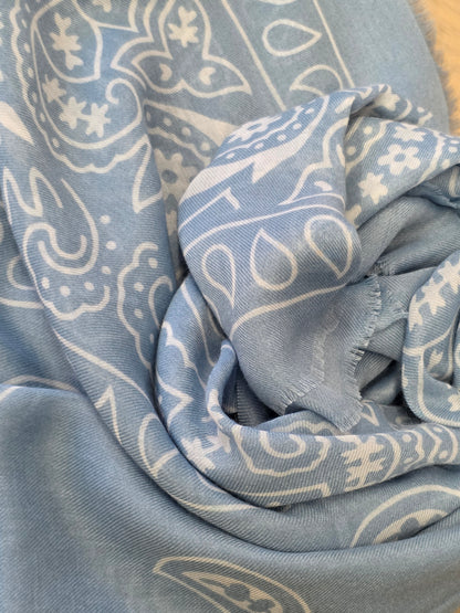 Pashmina Paisley Sky