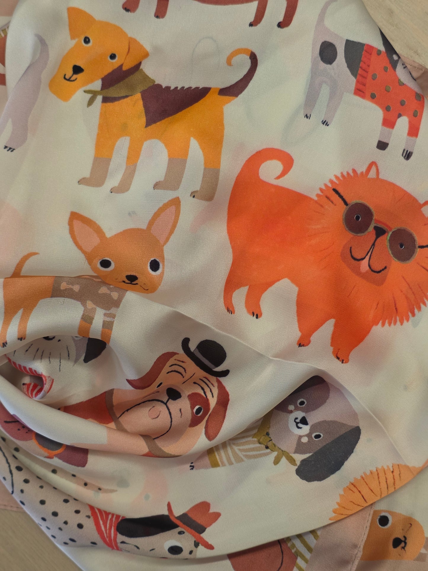 Foulard fantasia Cagnolini